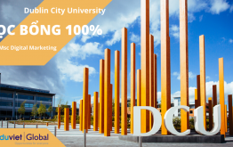 Du học Ireland: Học bổng 100% từ Dublin City University Du học Ireland: Học bổng 100% từ Dublin City University